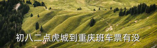 初八二點虎城到重慶班車票有沒