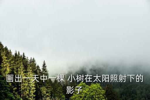 畫出一天中一棵 小樹在太陽照射下的影子