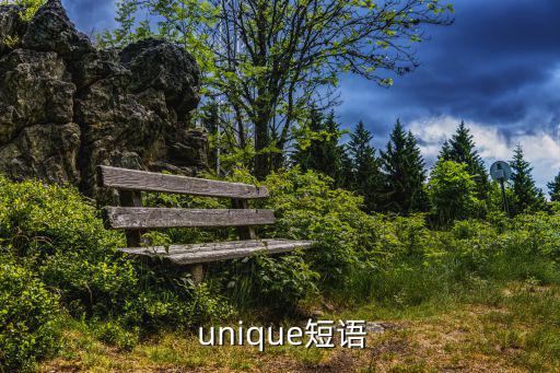  unique短語