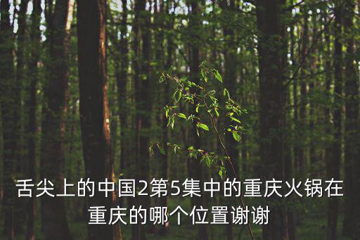 舌尖上的中國2第5集中的重慶火鍋在重慶的哪個位置謝謝