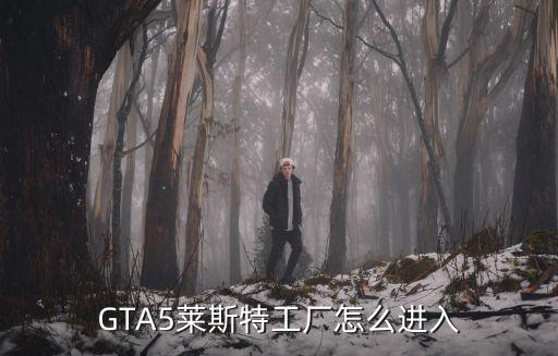 GTA5萊斯特工廠怎么進入