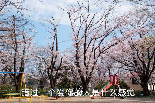  錯過一個愛你的人是什么感覺