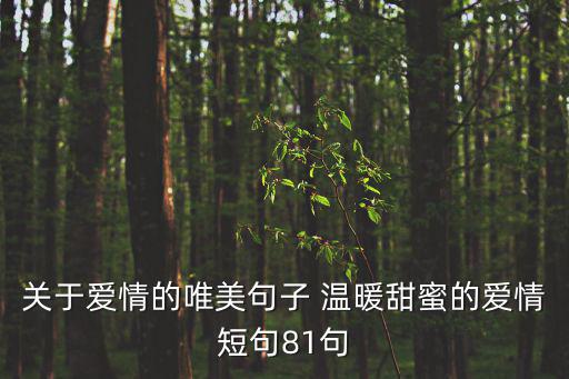 關于愛情的唯美句子 溫暖甜蜜的愛情短句81句