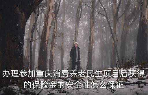 2017 重慶市科委民生項目，重慶消費養老怎樣什么地方可以辦理
