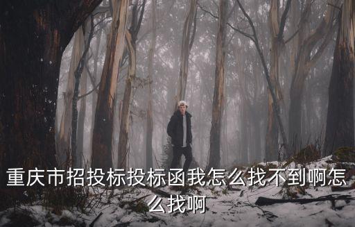 重慶市招投標(biāo)投標(biāo)函我怎么找不到啊怎么找啊