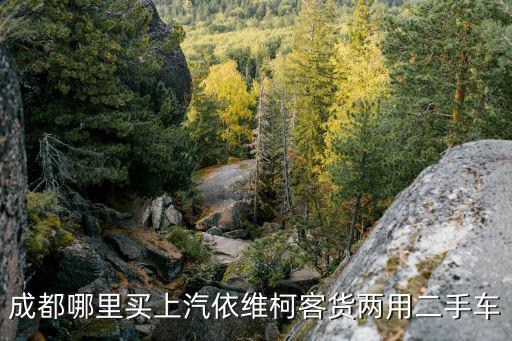 成都哪里買(mǎi)上汽依維柯客貨兩用二手車(chē)