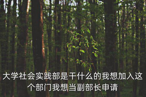 大學社會實踐部是干什么的我想加入這個部門我想當副部長申請