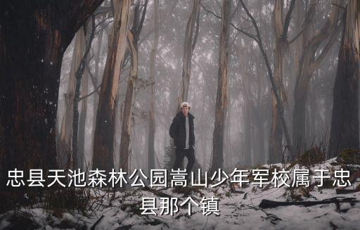 重慶市忠縣青年團，忠縣什么時候招兵啊