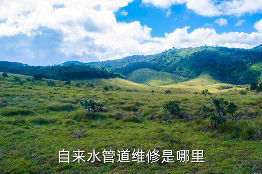 自來水管道維修是哪里