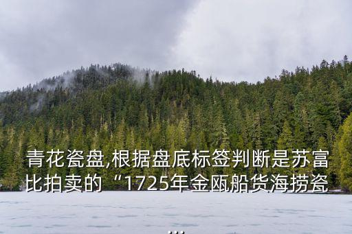  青花瓷盤,根據盤底標簽判斷是蘇富比拍賣的“1725年金甌船貨海撈瓷...