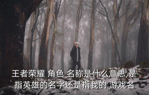 游戲角色名稱,以主角或反派人物命名游戲是很常見的