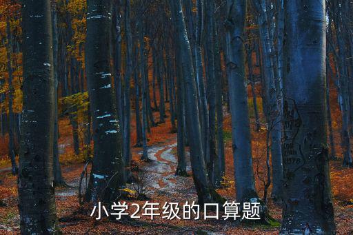 小學(xué)2年級(jí)的口算題
