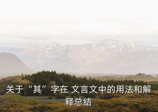 其在文言文中的意思,車禍現場情況