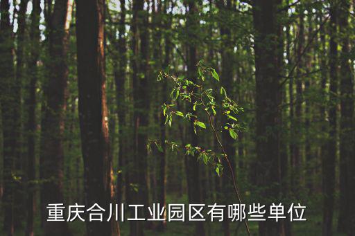 重慶合川工業園區有哪些單位