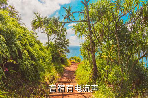 音箱有電流聲，音箱有電流聲