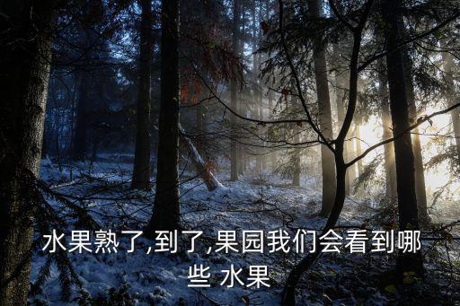  水果熟了,到了,果園我們會看到哪些 水果