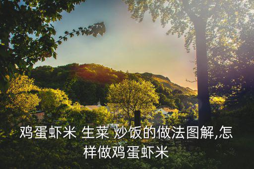 雞蛋蝦米 生菜 炒飯的做法圖解,怎樣做雞蛋蝦米
