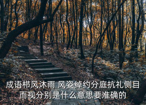 成語櫛風沐雨 風姿綽約分庭抗禮側目而視分別是什么意思要準確的