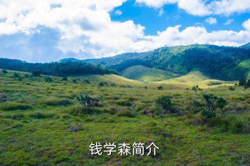 錢學森的資料，錢學森簡介