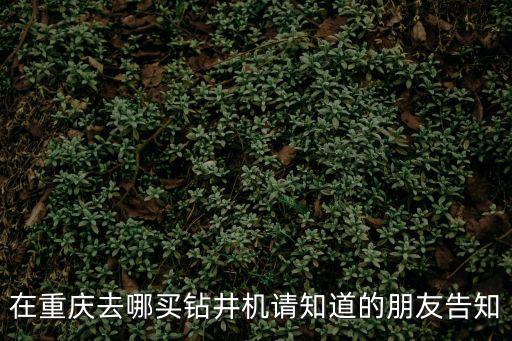 在重慶去哪買鉆井機請知道的朋友告知