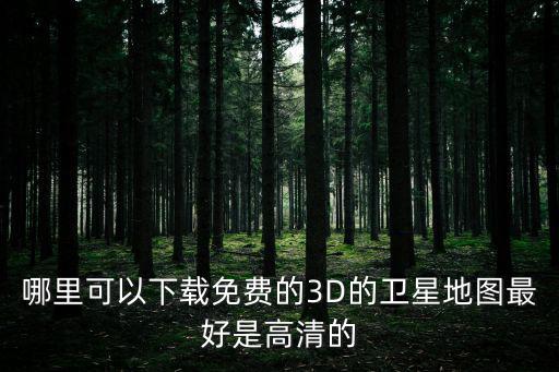 哪里可以下載免費(fèi)的3D的衛(wèi)星地圖最好是高清的