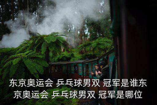 乒乓球冠軍男,馬龍奪下今年東京奧運乒乓男單金牌