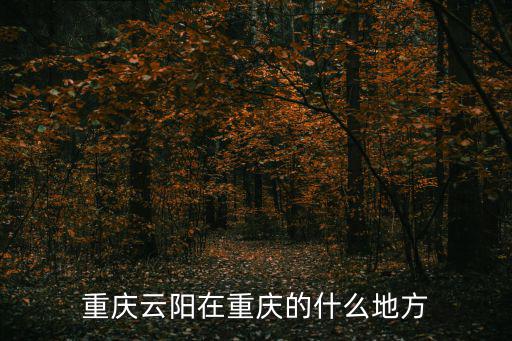 重慶云陽在重慶的什么地方