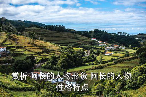 阿長的性格特點,《晨光|紙上風云:龍媽媽的性格特征