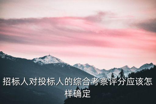 招標人對投標人的綜合考察評分應該怎樣確定
