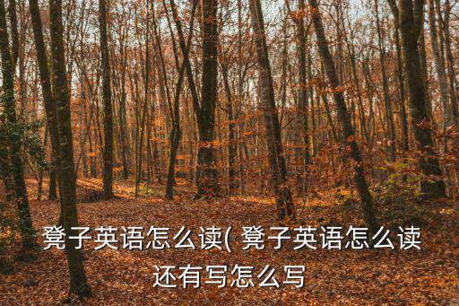  凳子英語怎么讀( 凳子英語怎么讀還有寫怎么寫