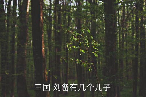 劉備義子,關(guān)羽和劉備感情深厚是劉備最重要的將領(lǐng)