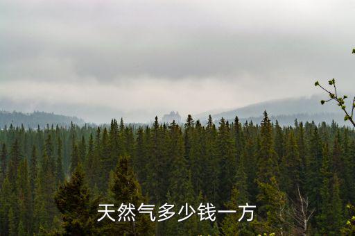 天然氣多少錢一方