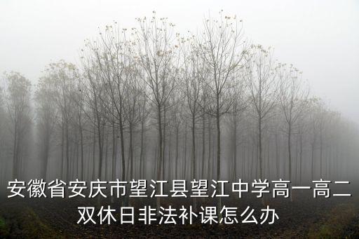 安徽省安慶市望江縣望江中學高一高二雙休日非法補課怎么辦