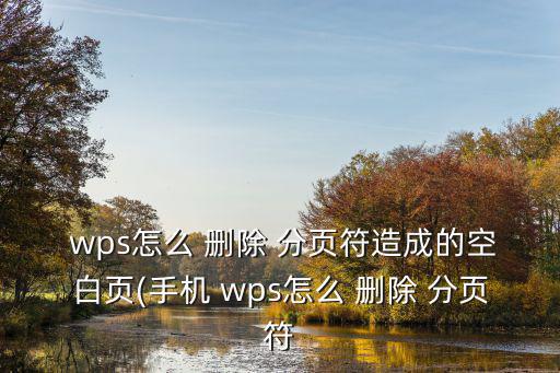  wps怎么 刪除 分頁符造成的空白頁(手機 wps怎么 刪除 分頁符