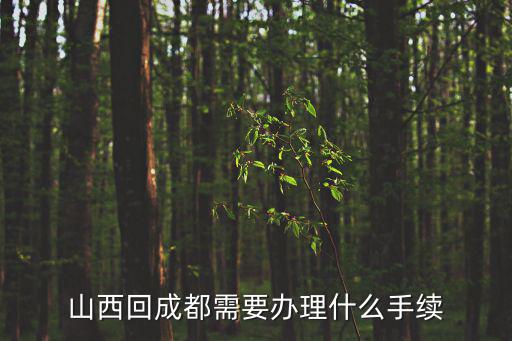 山西回成都需要辦理什么手續