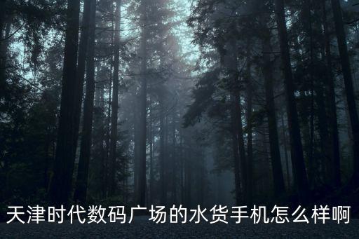 天津時代數(shù)碼廣場的水貨手機怎么樣啊