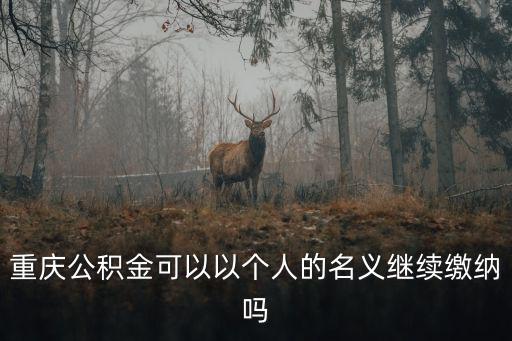 重慶市梁平區可以個人交公積金嗎，重慶主城區能不能自己交住房公積金