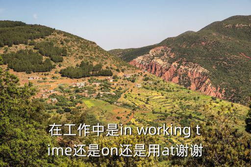 在工作中是in working time還是on還是用at謝謝