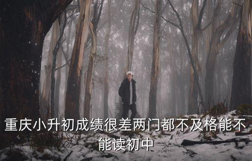 重慶市小升初考試分數(shù)有無影響，重慶小升初成績很差兩門都不及格能不能讀初中