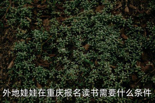 外地娃娃在重慶報名讀書需要什么條件