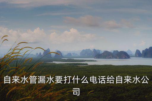 自來水管漏水要打什么電話給自來水公司