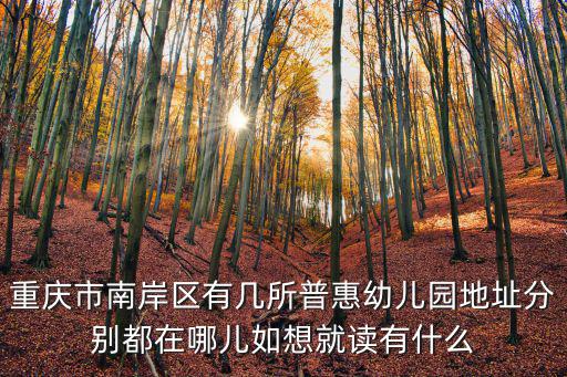 重慶市南岸區(qū)有幾所普惠幼兒園地址分別都在哪兒如想就讀有什么