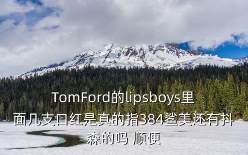 TomFord的lipsboys里面幾支口紅是真的指384鯊美還有抖森的嗎 順便