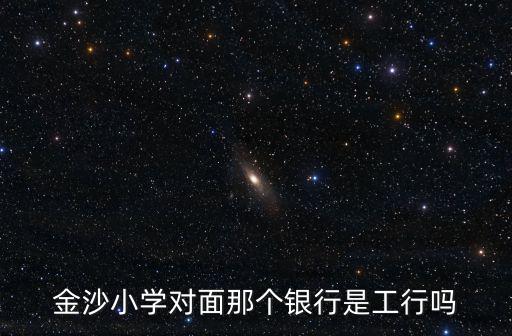 金沙小學對面那個銀行是工行嗎
