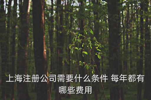上海注冊公司需要什么條件 每年都有哪些費用