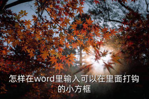 怎樣在word里輸入可以在里面打鉤的小方框