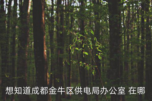 想知道成都金牛區(qū)供電局辦公室 在哪