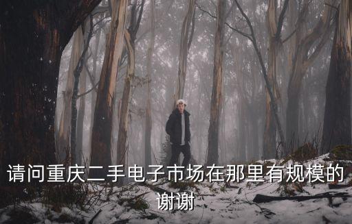 請問重慶二手電子市場在那里有規(guī)模的謝謝