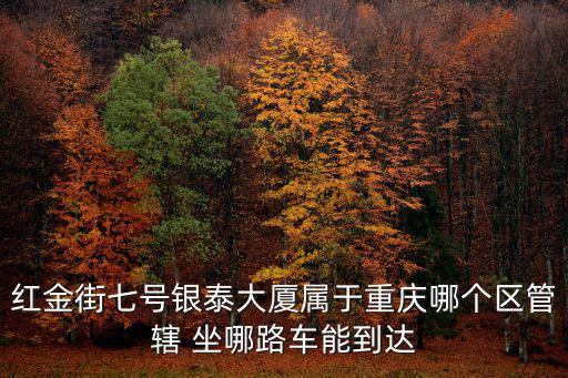 重慶市紅旗河溝銀泰大廈二手房，求租一室一廳的房子位于重慶江北紅旗河溝價格在五百左右