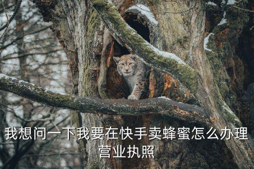 我想問一下我要在快手賣蜂蜜怎么辦理營業執照